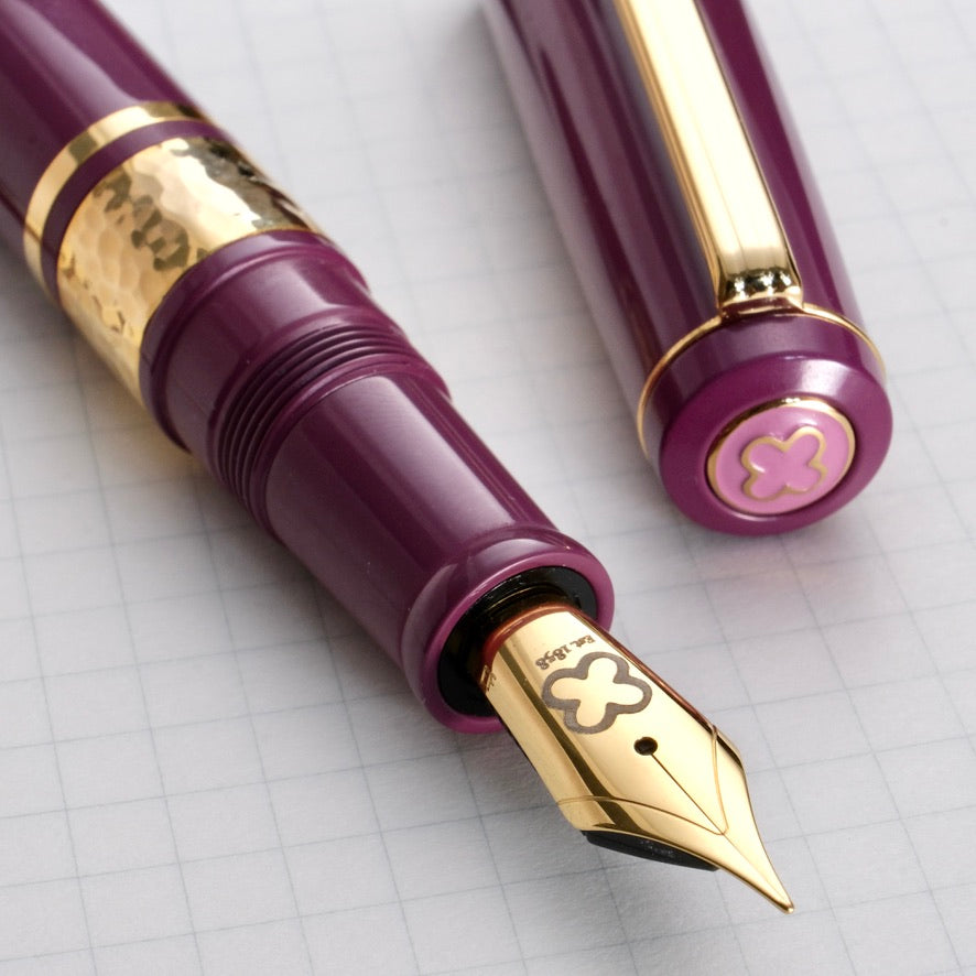 Esterbrook Model J Ebonite Fountain Pen - Blackberry