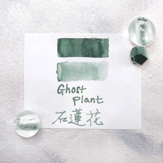 Lennon Tool Bar Ink Pretty Vol. 2 - Ghost Plant 石蓮花 (2024 Spring Collection)