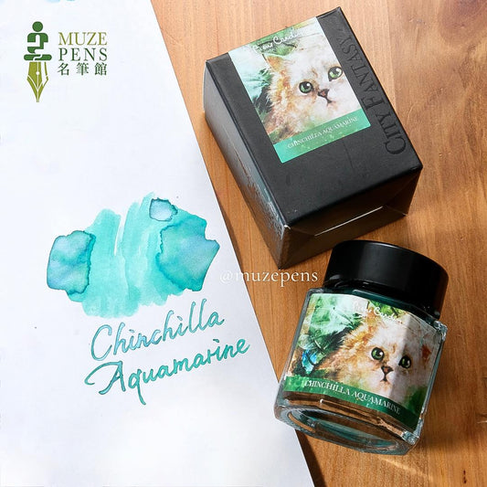 Pierre Cardin City Fantasy Colours of Catasy Ink - Chinchilla Aquamarine