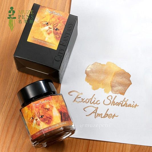 Pierre Cardin City Fantasy Colours of Catasy Ink - Exotic Shorthair Amber