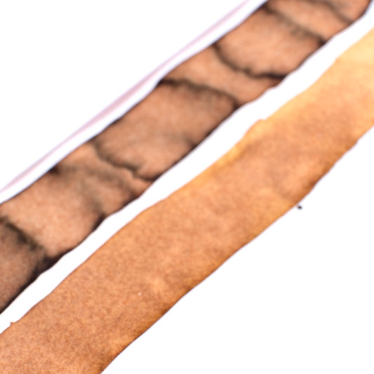 Diamine Ink-vent Purple Edition 2023 Fountain Pen Ink - Cinnabun