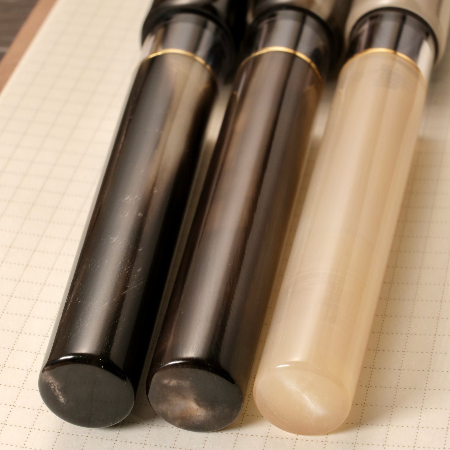 Fine Writing Int. Fenestro Fountain Pen - Buffalo Horn
