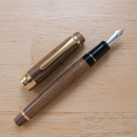Pilot Custom Enju Fountain Pen