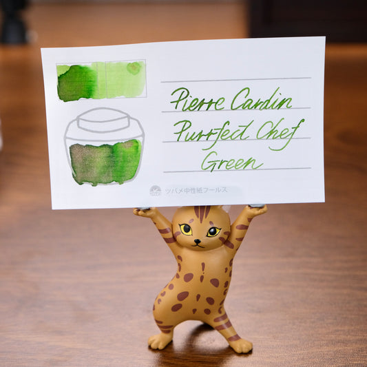 Pierre Cardin Colours of Explorers Shimmering Ink - Purrfect Chef Green