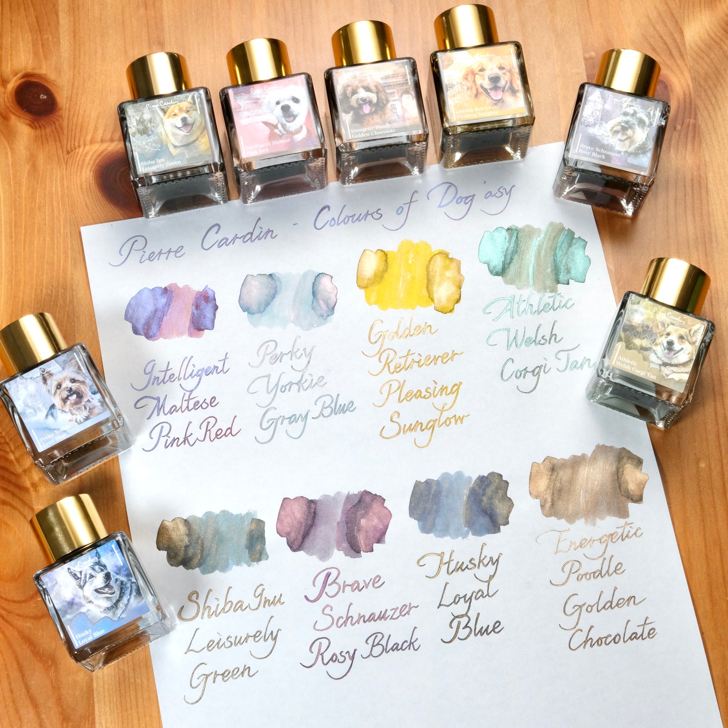 Pierre Cardin Colours of Dogasy Ink - Intelligent Maltese Pink Red