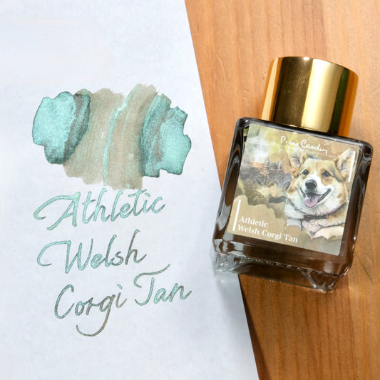 Pierre Cardin Colours of Dogasy Ink - Athletic Welsh Corgi Tan