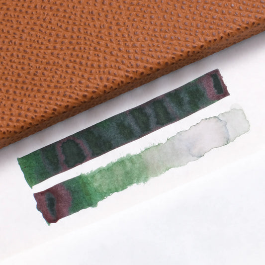 Diamine 160th Anniversary Fountain Pen Ink - Canalside