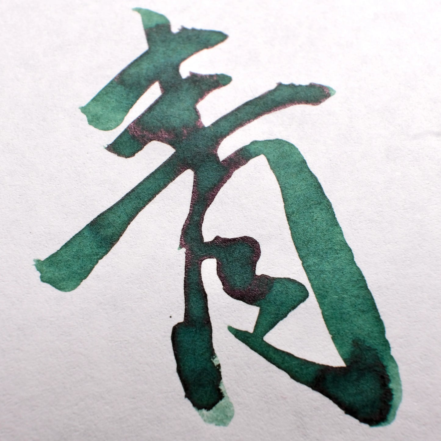 Rohrer & Klingner Fountain Pen Ink - Deep Pine (2022 Limited Edition)