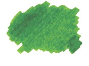 Nagasawa Kobe Ink - #19 Minato-gawa Lime