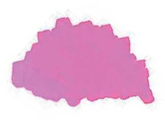 Nagasawa Kobe Ink - #61 Yuki-gosho Zakura