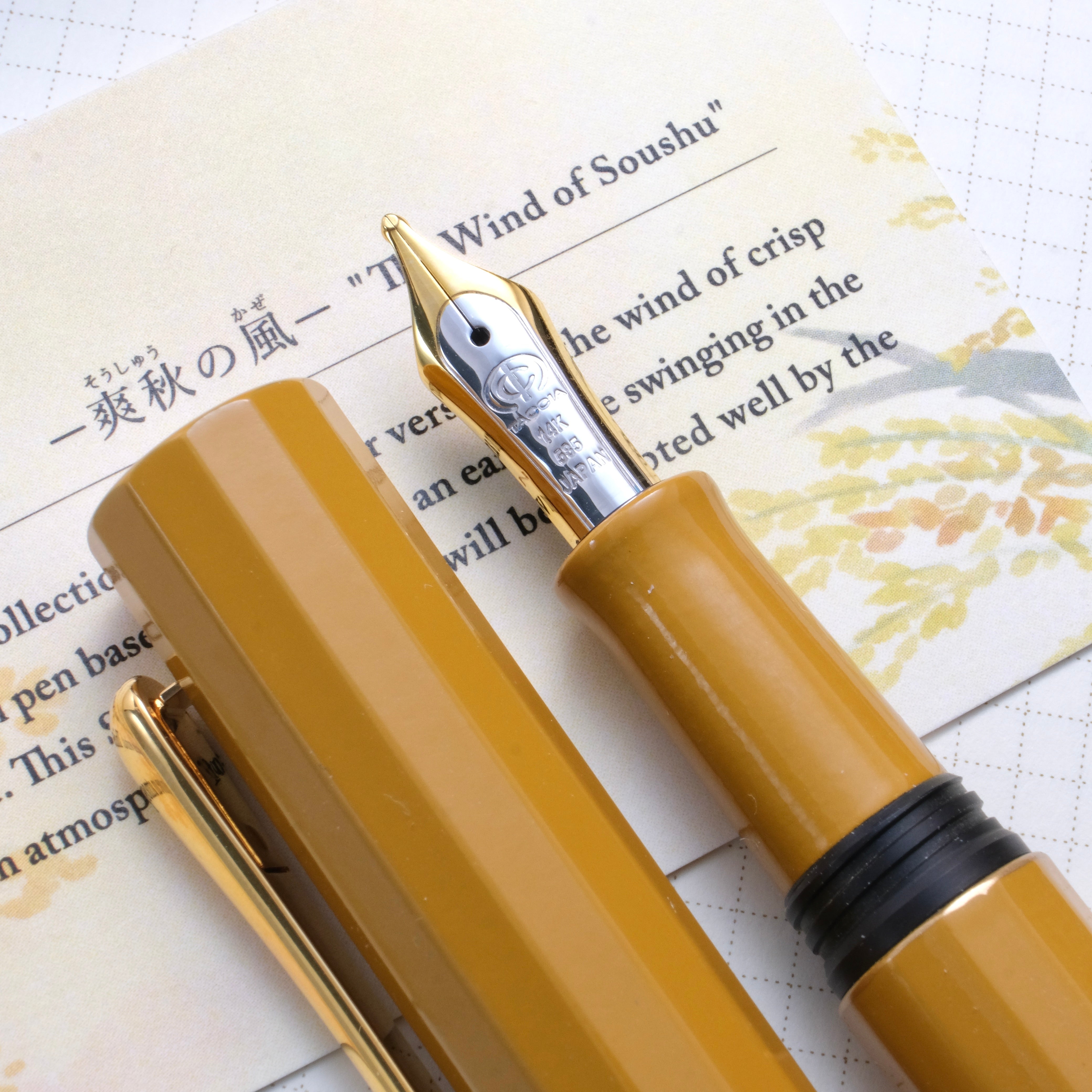 Yellow Fountain Pens – Muze Pens