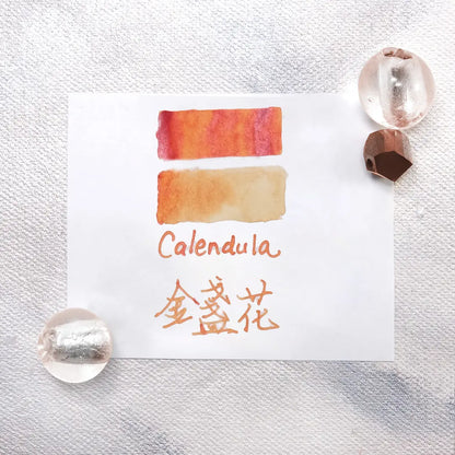 Lennon Tool Bar Ink Pretty Vol. 2 - Calendula 金盞花 (2024 Spring Collection)