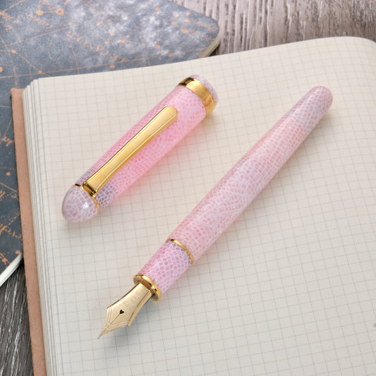 Platinum 3776 Celluloid Fountain Pen - Sakura
