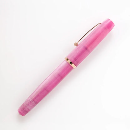 Penlux x Lennon Tool Bar Concerto Fountain Pen & Ink Set - Rose Nebula