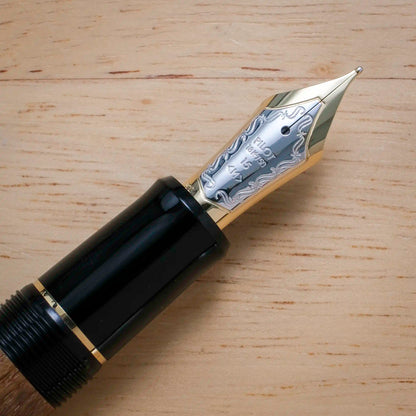 Pilot Custom Enju Fountain Pen