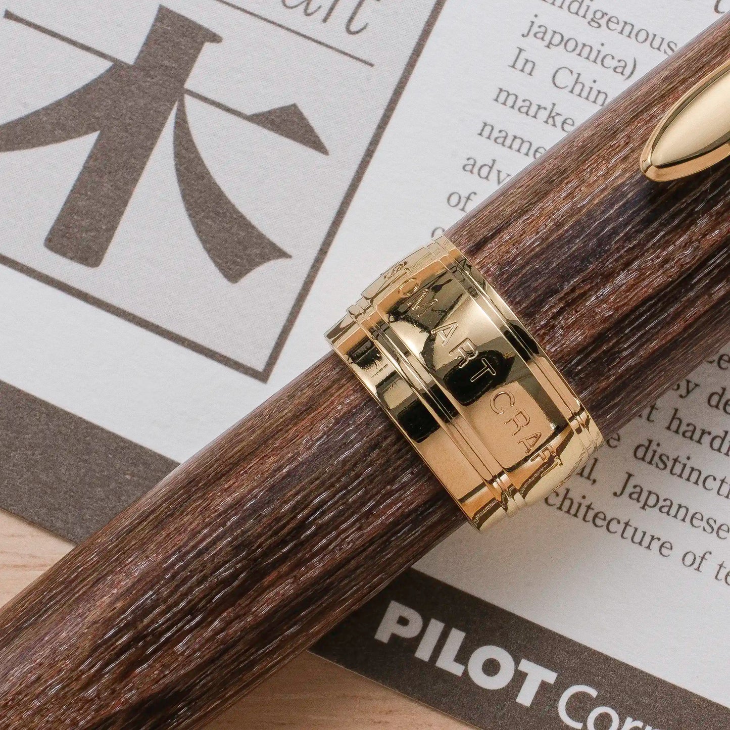 Pilot Custom Enju Fountain Pen