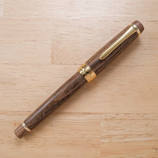 Pilot Custom Enju Fountain Pen