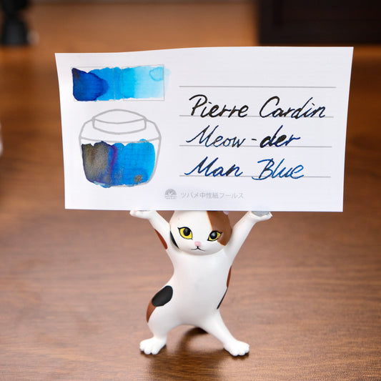 Pierre Cardin Colours of Explorers Shimmering Ink - ⁠Meow-der Man Blue