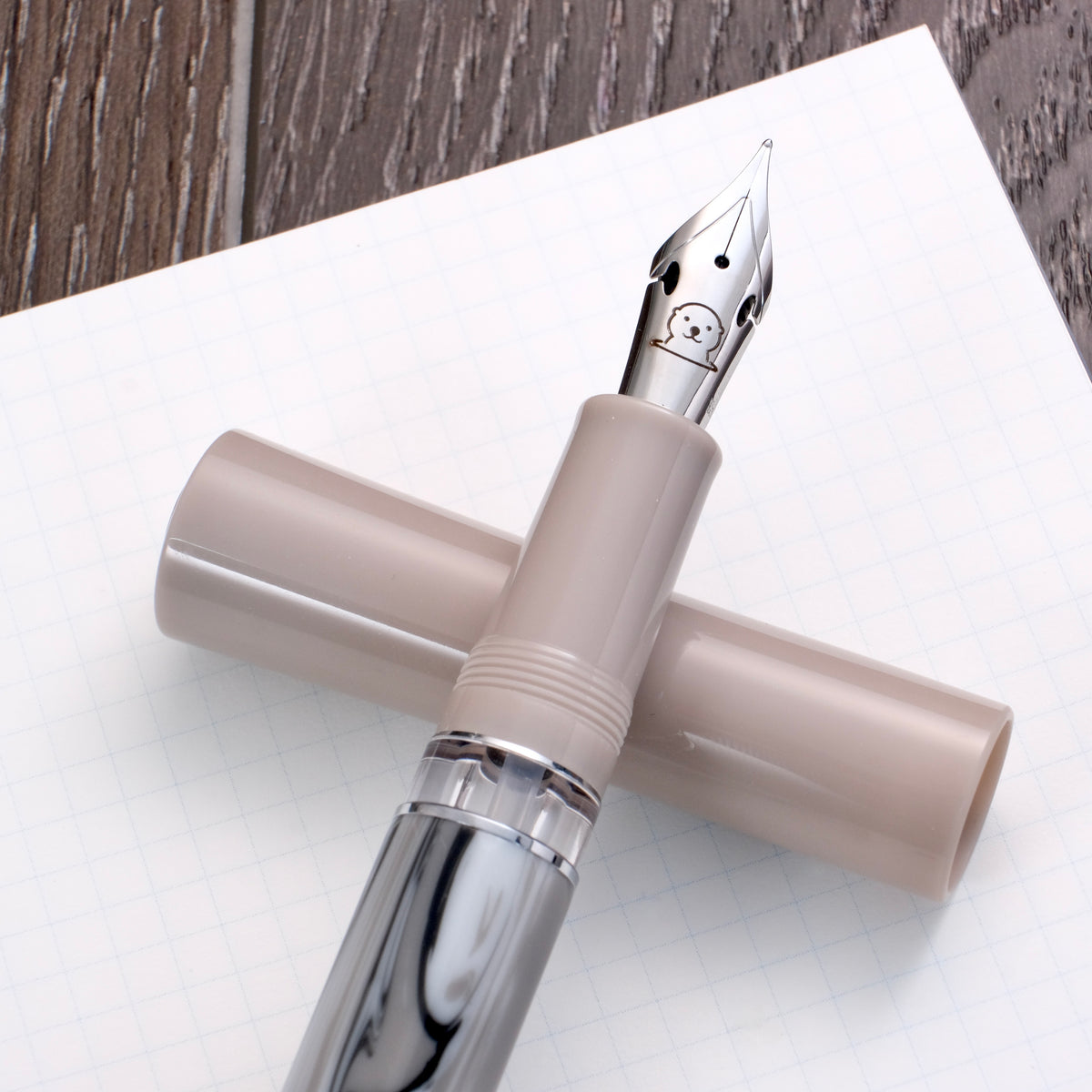 Fine Writing Int. Scepter Vacuum Filler Fountain Pen - Otter (Muze Pen ...