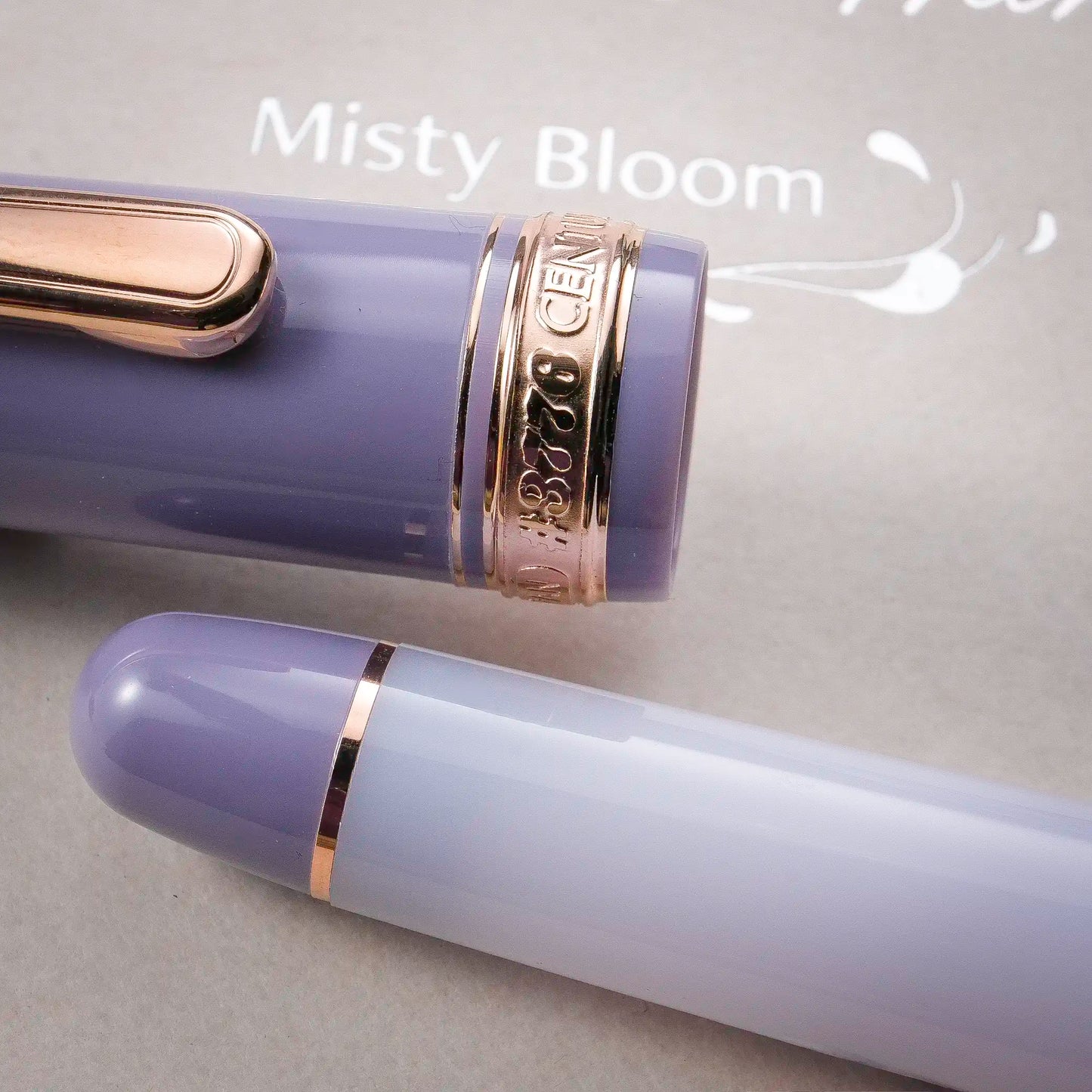 Platinum #3776 Century Fountain Pen – Misty Bloom (Limited Edition)
