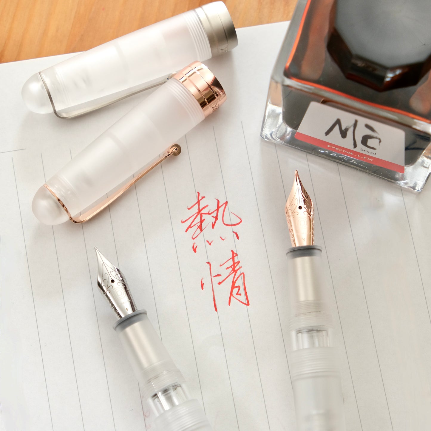 Penlux Masterpiece Delgado Demo Matte Fountain Pen - Rose Gold