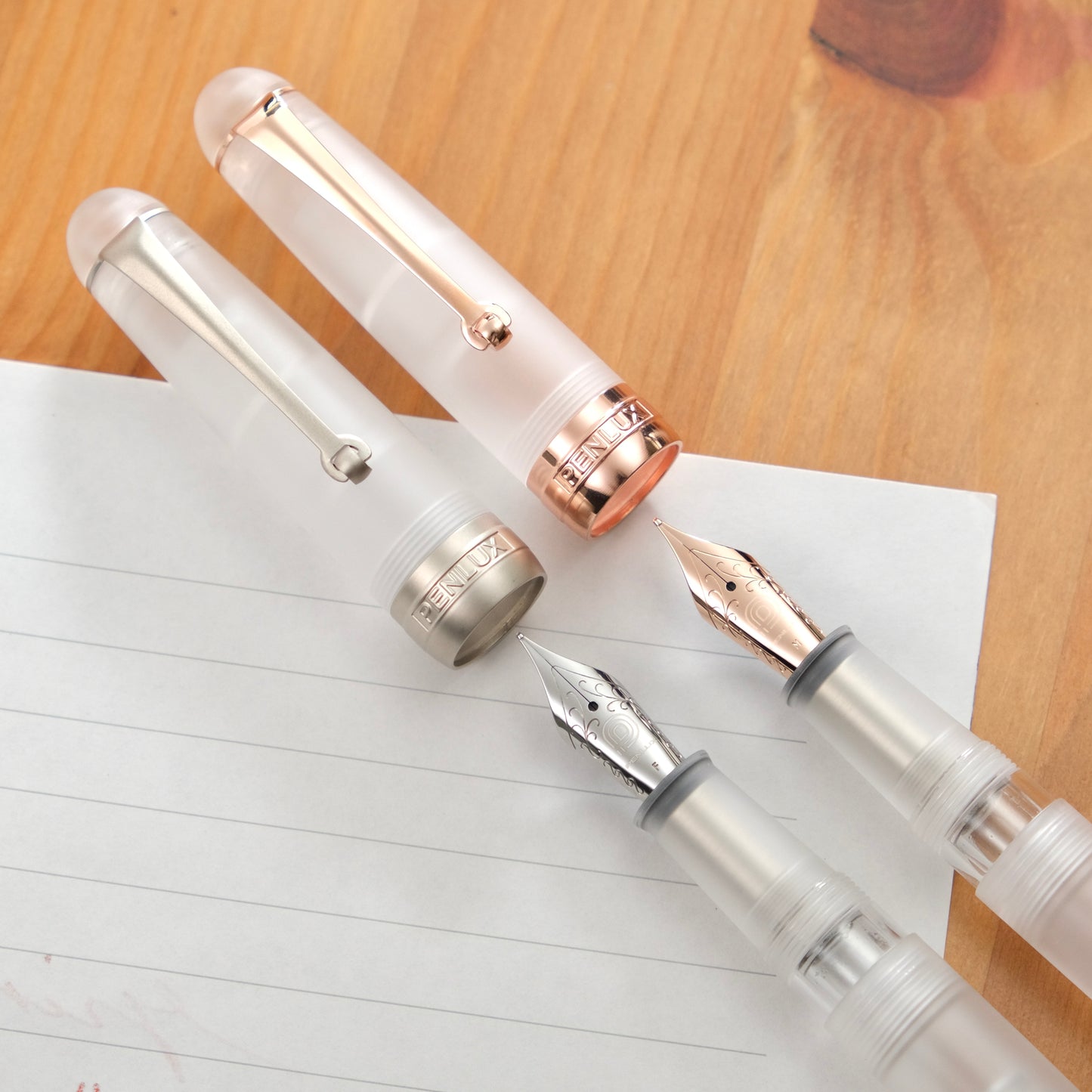 Penlux Masterpiece Delgado Demo Matte Fountain Pen - Rose Gold