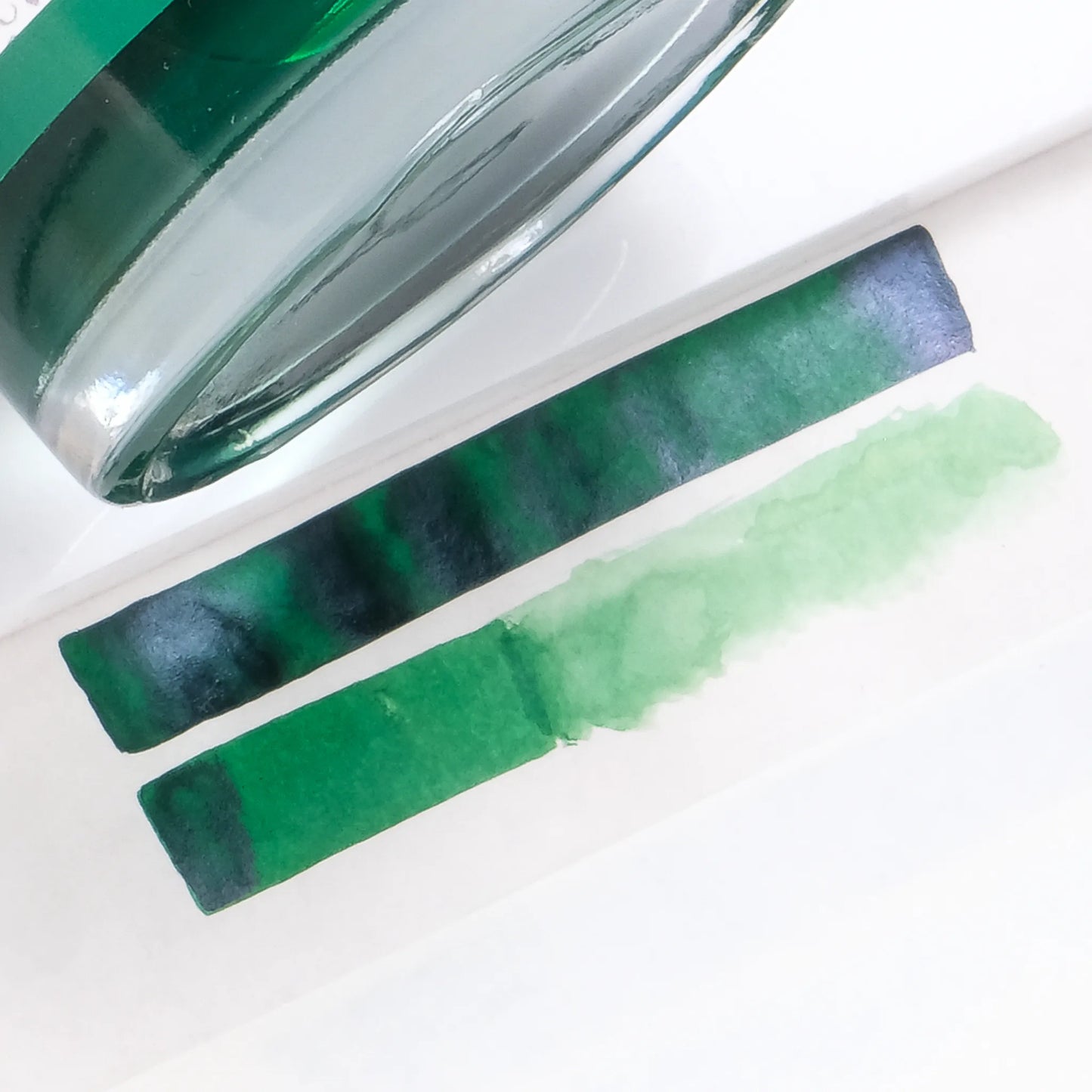 Diamine Forever Pigment Fountain Pen Ink - Amazonia