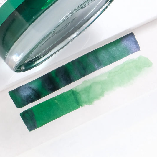 Diamine Forever Pigment Fountain Pen Ink - Amazonia